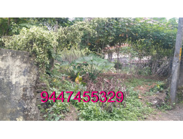 1 km away from Chengannur with road facility 15 cents Plot for sale