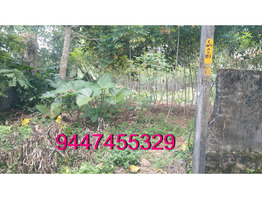 1 km away from Chengannur with road facility 15 cents Plot for sale