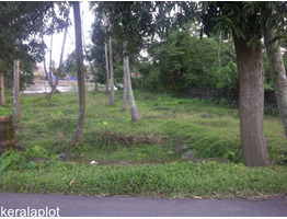 River side Land for sale