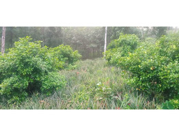 1.5 Acre land for sale moovattupuzha, Ernakulam dis.