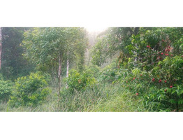 1.5 Acre land for sale moovattupuzha, Ernakulam dis.