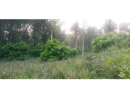 1.5 Acre land for sale moovattupuzha, Ernakulam dis.