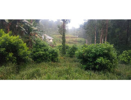 1.5 Acre land for sale moovattupuzha, Ernakulam dis.