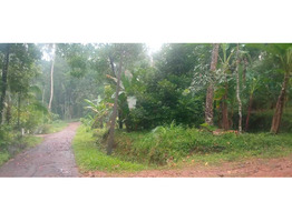 1.5 Acre land for sale moovattupuzha, Ernakulam dis.