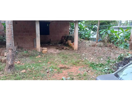 10 cent  land  house sale at Pallor, Thalassery