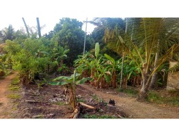 Plot for SALE in RAMANKARY