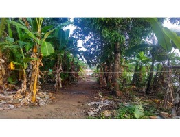 Plot for SALE in RAMANKARY