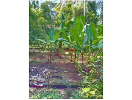 Land with House for Sale in Meladur, Mala, Thrissur