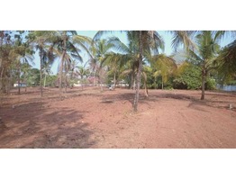 130.25 Cents Ancestral land for sale in Trissur