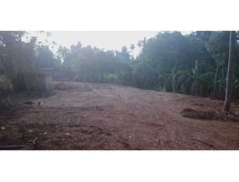 130.25 Cents Ancestral land for sale in Trissur