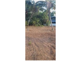 130.25 Cents Ancestral land for sale in Trissur