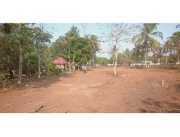 130.25 Cents Ancestral land for sale in Trissur