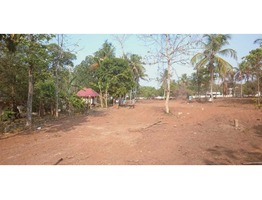 130.25 Cents Ancestral land for sale in Trissur