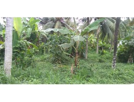 7 cent square residential plot for sale.