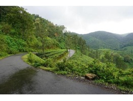 2.5 Acre residential land(1.28 Acre deed)for sale near Elappara,Idukki