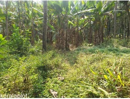 21 cents residential land for sale near edakkara town in Malappuram district