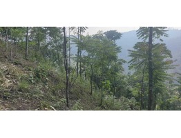 72 cent lyer land for sale