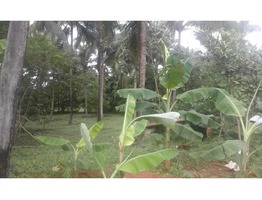 Suitable 48 cents land for sale near Mulamkunathukavu Medical College in Thrissur district