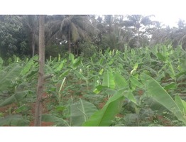 Suitable 48 cents land for sale near Mulamkunathukavu Medical College in Thrissur district