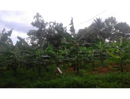 Suitable 48 cents land for sale near Mulamkunathukavu Medical College in Thrissur district