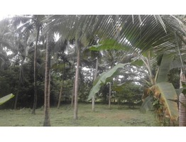 Suitable 48 cents land for sale near Mulamkunathukavu Medical College in Thrissur district