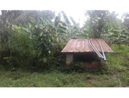 Suitable 48 cents land for sale near Mulamkunathukavu Medical College in Thrissur district