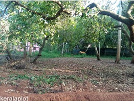 Land near SN College Varkala