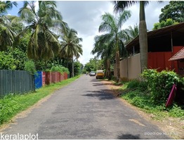 20 cents of rectangular shaped plot with 100 feet frontage in Thrissur