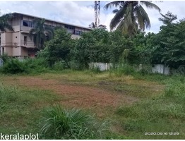 20 cents of rectangular shaped plot with 100 feet frontage in Thrissur