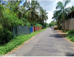 20 cents of rectangular shaped plot with 100 feet frontage in Thrissur