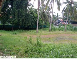 20 cents of rectangular shaped plot with 100 feet frontage in Thrissur