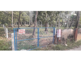 14.5 cent land for sale Irinjalakuda, Thrissur