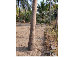 65 cent plot in Guruvayur, Iringapuram