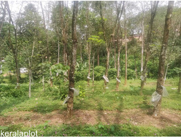 1 acer residential plot sale in Erumely Kottayam