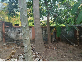 7 cents of Residential land at Chembukkavu, Thrissur