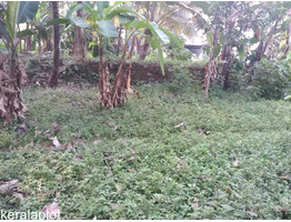 Land for sale in Chingavanam, Kottayam