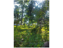 41 CENT LAND SALE AT Moonam number in Vithura, Trivandrum