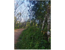 41 CENT LAND SALE AT Moonam number in Vithura, Trivandrum