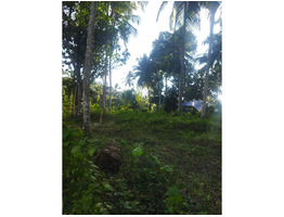 41 CENT LAND SALE AT Moonam number in Vithura, Trivandrum