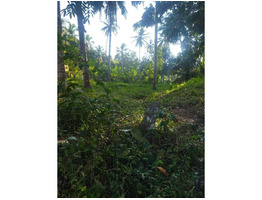 41 CENT LAND SALE AT Moonam number in Vithura, Trivandrum