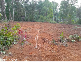 85 cent land sale at Ayarkunnam, Kottayam