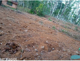 85 cent land sale at Ayarkunnam, Kottayam