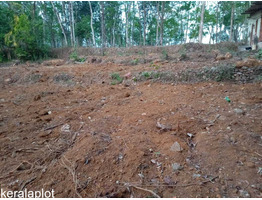 85 cent land sale at Ayarkunnam, Kottayam