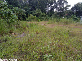 85 cent land sale at Ayarkunnam, Kottayam