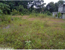 85 cent land sale at Ayarkunnam, Kottayam