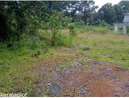 85 cent land sale at Ayarkunnam, Kottayam