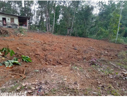 85 cent land sale at Ayarkunnam, Kottayam