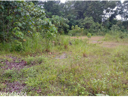 85 cent land sale at Ayarkunnam, Kottayam