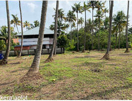 Residential Land for Sale in Padiyoor, Irinjalakkuda