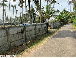 Residential Land for Sale in Padiyoor, Irinjalakkuda